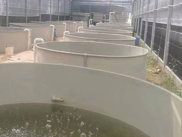 圓桶養(yǎng)殖