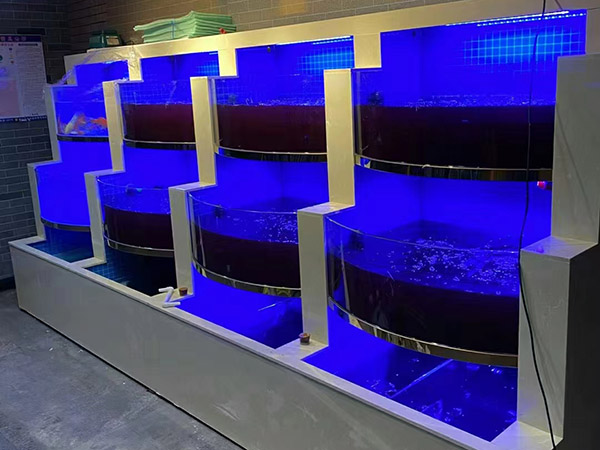 海鮮池  海鮮魚缸  酒店魚缸