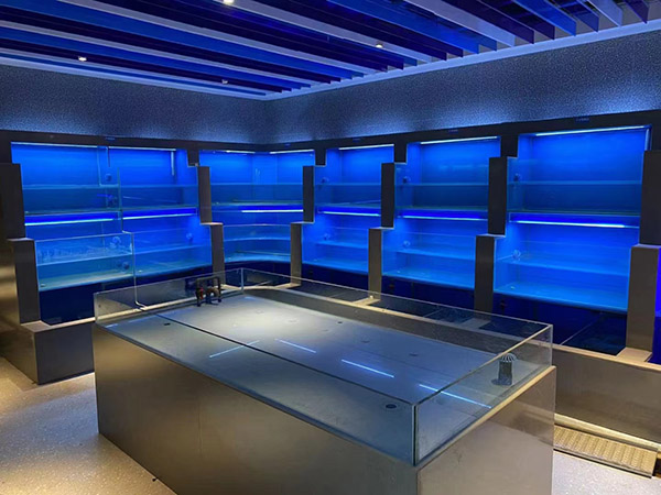 海鮮池  海鮮魚缸  酒店魚缸