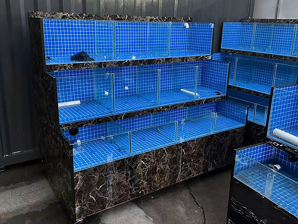 海鮮池  海鮮魚缸  酒店魚缸