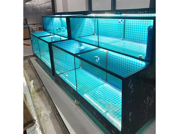 海鮮池  海鮮魚缸  酒店魚缸