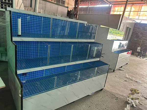 海鮮池  海鮮魚缸  酒店魚缸