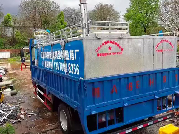 魚箱  運輸魚箱視頻